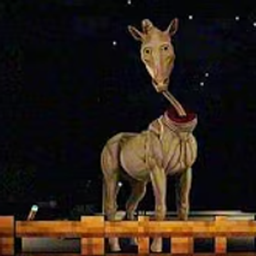 Lookout`s Horse Experience.