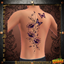 Robynq Tattoo LTD7133 - Basegame compatible logo