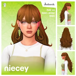 Niecey Hair V2 project image