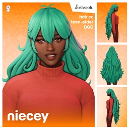 Niecey Hair V1 project image