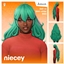Niecey Hair V1 logo