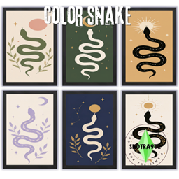 Color snake project image