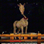 LookOut3D's horse.jar logo