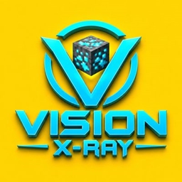 VISION X-RAY project image