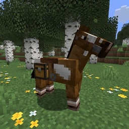 Horses With Chests logo