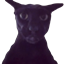 Larry cat totem of undying logo
