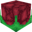 Phitive logo