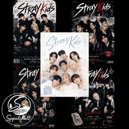 Stray Kids Poster Pack project image