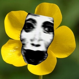 flowers.jar logo