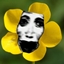 flowers.jar logo