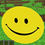 Most Accurate Smiley  logo