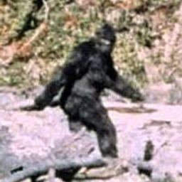Cult of the Cryptids