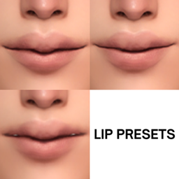 lip presets1-3 project image
