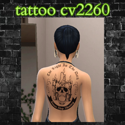 tattoo cv2260 project image