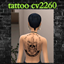 tattoo cv2260 logo