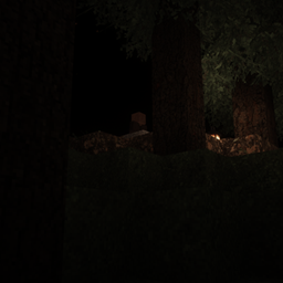 The Watching Woods