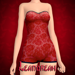Okkult Darkness Calling Accessory Lace Bodysuit project image