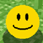 Smily mod logo