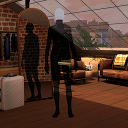 Skylight Loft (CAS Background) project image