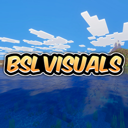 BSL VIBRANT VISUALS project image