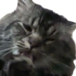 Waffle cat PVP item logo