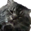 Waffle cat PVP item logo