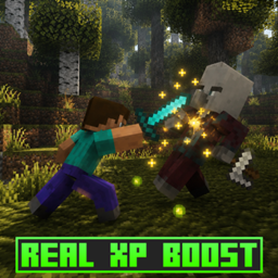 Real XP Boost project image