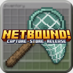 Netbound! project image