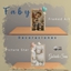 GM_Decoraciones FABY logo
