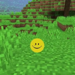 Verity - Survival SMP project image