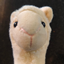 Lama Cute logo