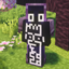 David's Skin Over Armor! (Hide Your Armor) logo