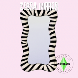 Zebra Mirror project image
