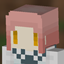 Alleis Slop Pack logo