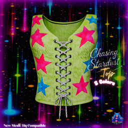 Chasing Stardust_Top logo