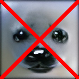 NoPetStances project image