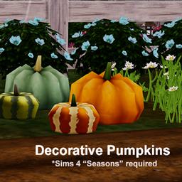 Decorative Pumpkins set of 2 - [Seasons Required] project image
