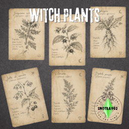 Witch plants posters project image