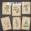 Witch plants posters logo