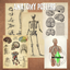 Anatomy posters logo