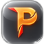 Paladium JuniorMod logo