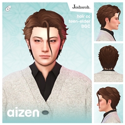 Aizen Hair V1 project image
