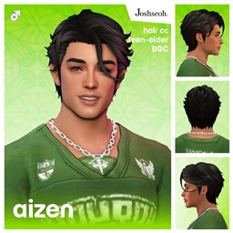 Aizen Hair V2 project image