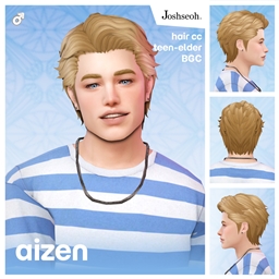Aizen Hair V3 project image