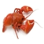 lobster lazuli logo
