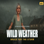 Wild Weather Natural Disaster Mod By JellyPaws | Chinese Translation logo