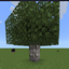 betterbirch logo