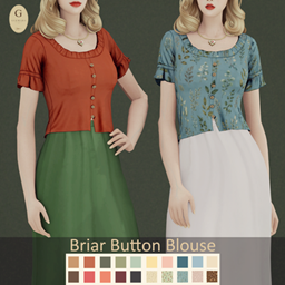 Briar Button Blouse project image