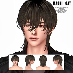 [Maoni_cat]Maxis HAIR No.1 project image