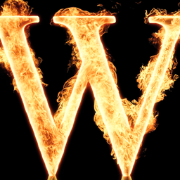 W's in the chat